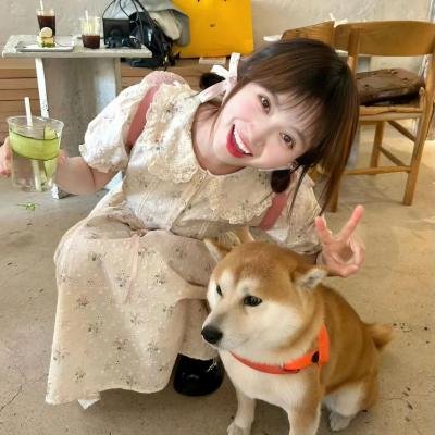 憨豆的黄金周